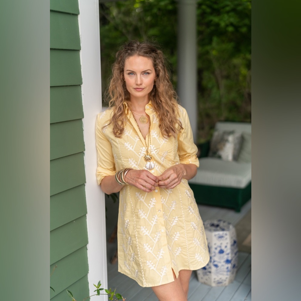 NWOT Julia Amory Swizzle shirt Dress